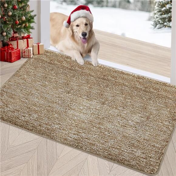 Indoor Doormat, Front Door Mat 20"x32" Absorbent Rubber Backing Non Slip Back - Picture 1 of 7